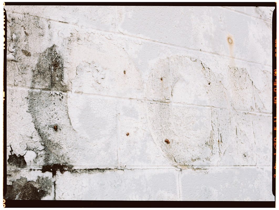 Water Extraction service in Boca Raton, FL